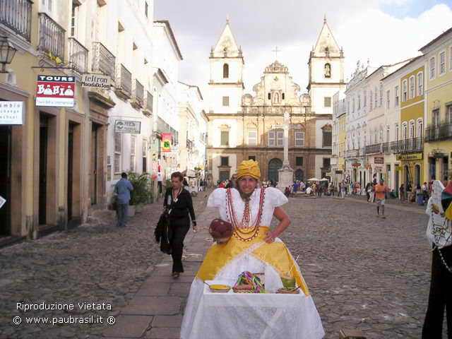 Immagine Pau Brasil&reg; Caricamento in Corso .......