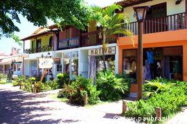 Pau Brasil  - Praia do Forte