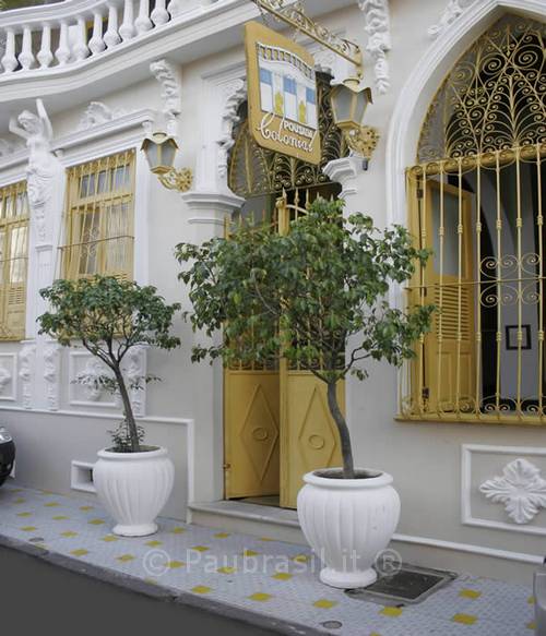 Pau Brasil Foto