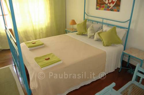 Pau Brasil Foto