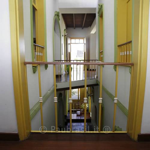 Pau Brasil Foto