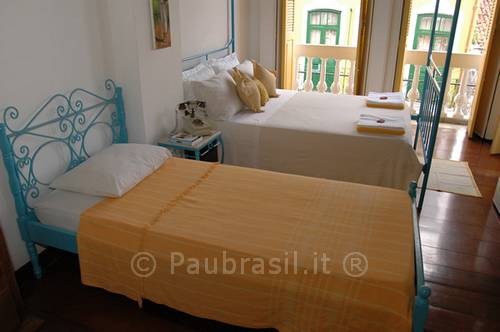 Pau Brasil Foto