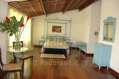 Pau Brasil Foto