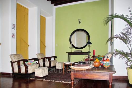 Pau Brasil Foto