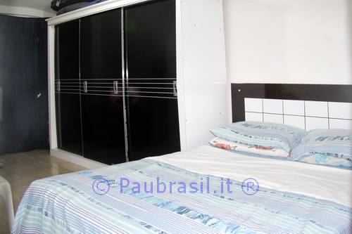 Pau Brasil Foto