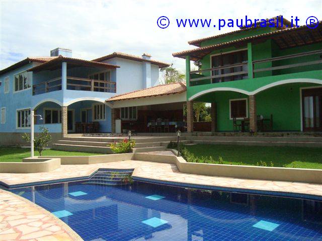 Pau Brasil Foto